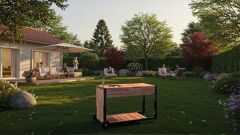 Outdoor Mobile Kitchen
