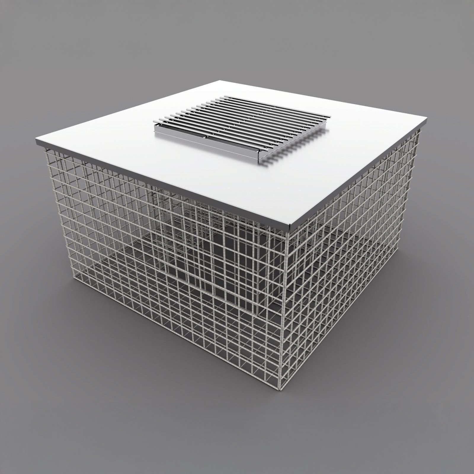 Gabion Center Piece Saksı metal